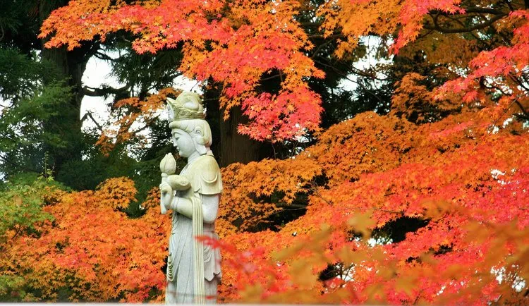 Dairyuji Temple