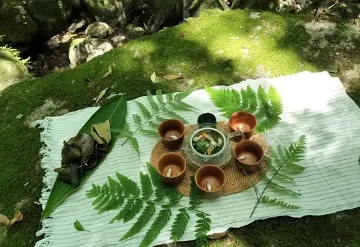 KaleidoForest Retreats