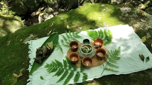 KaleidoForest Retreats