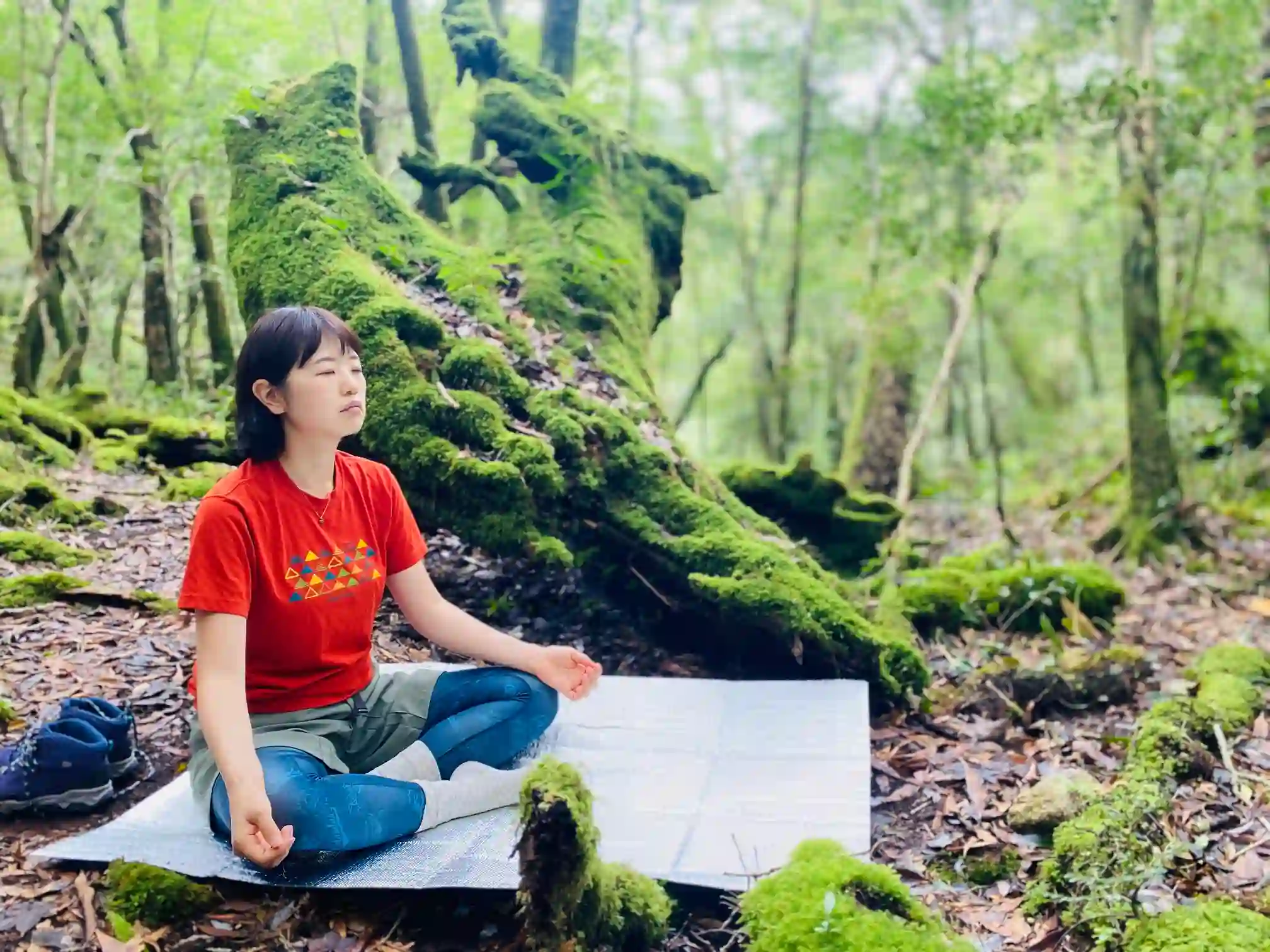 KaleidoForest Retreats