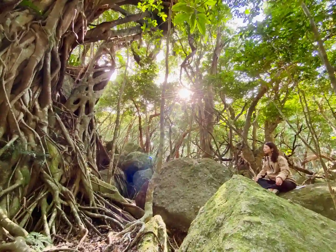 KaleidoForest Retreats