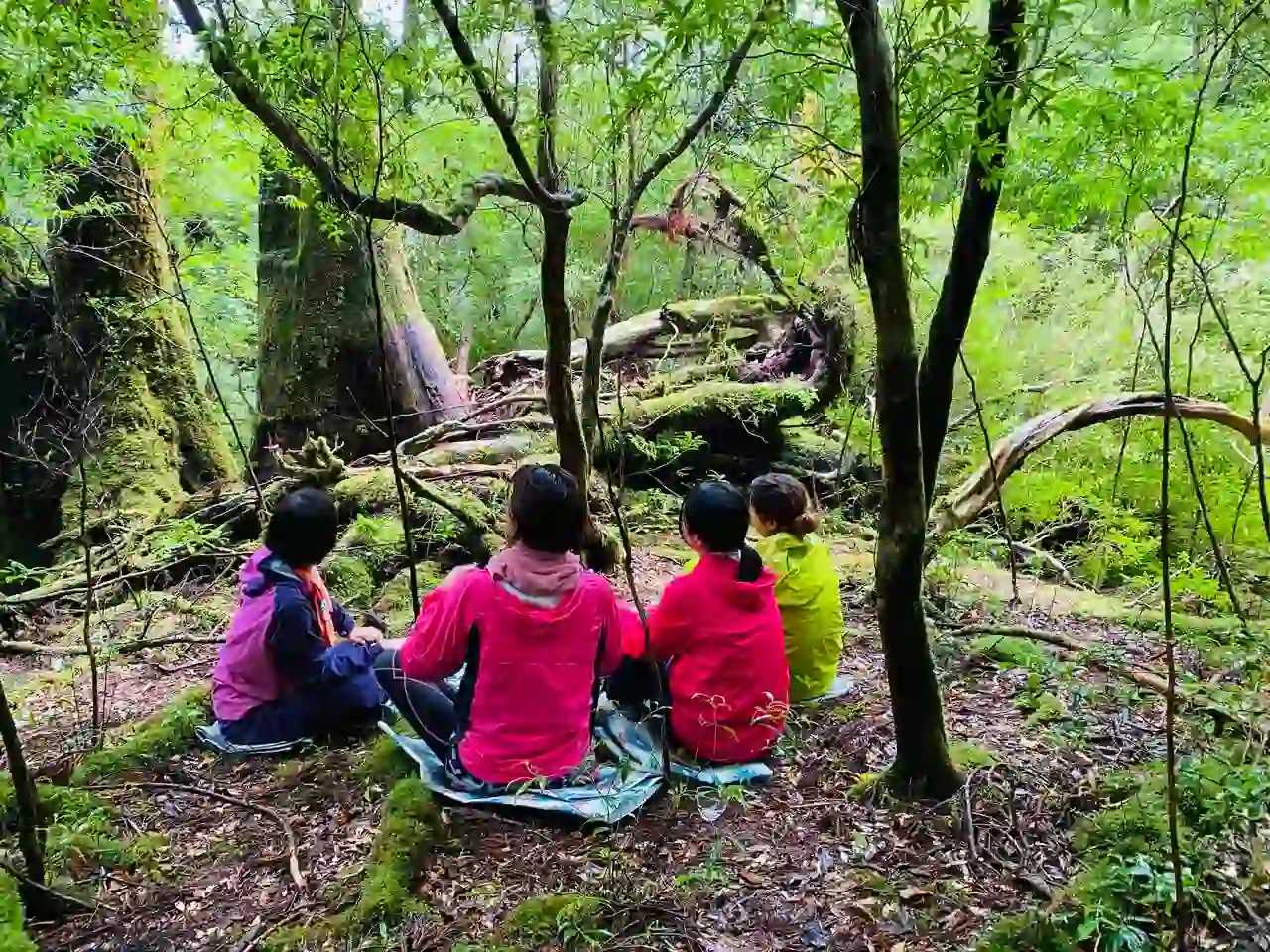 KaleidoForest Retreats